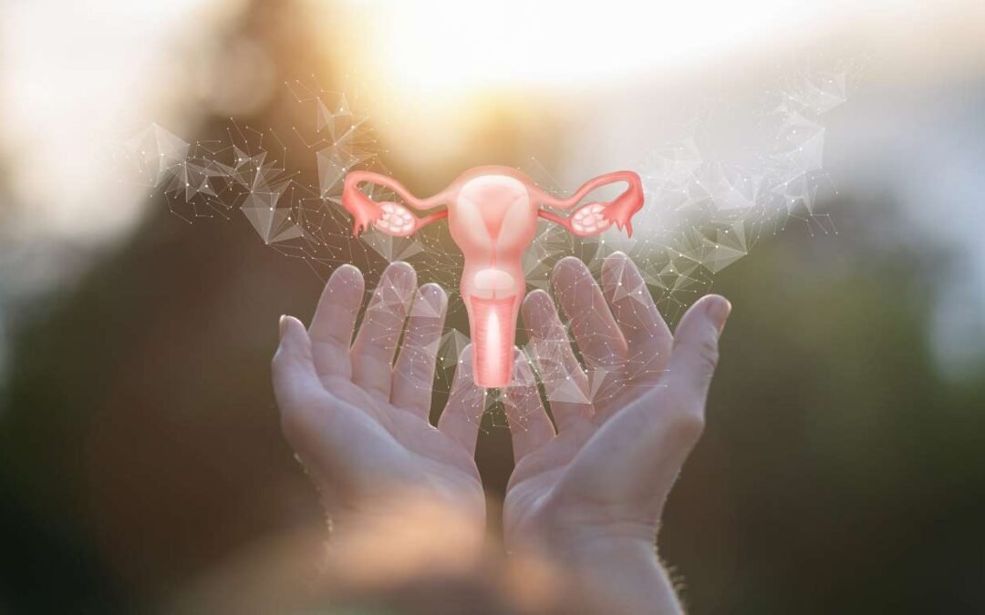 Symptothermie : la Méthode Naturelle pour lire son Cycle