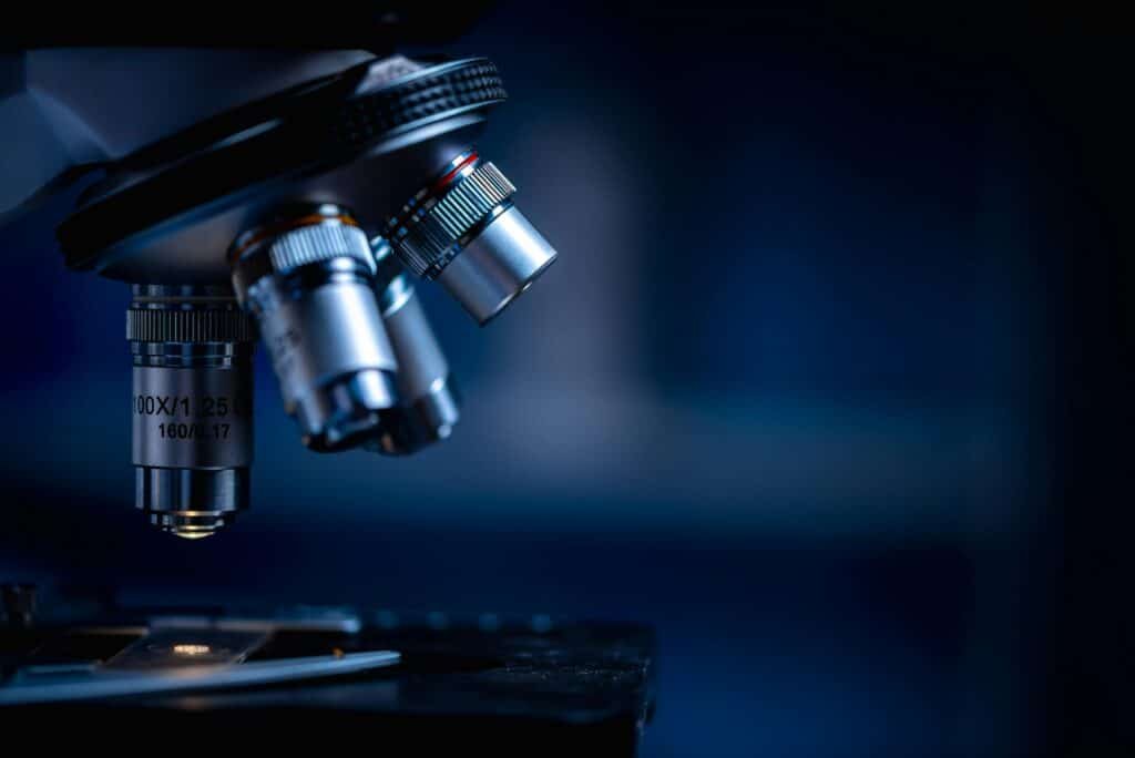 Observation au microscope de tissu endométrial inflammé  endométrite chronique et fertilité